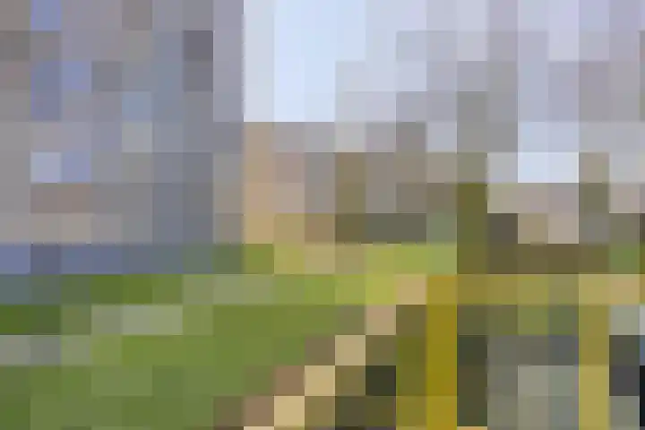 Zomergemstraat 62 Breda thumbnail 31