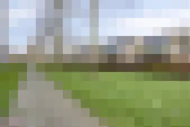 Zomergemstraat 62 Breda thumbnail 32