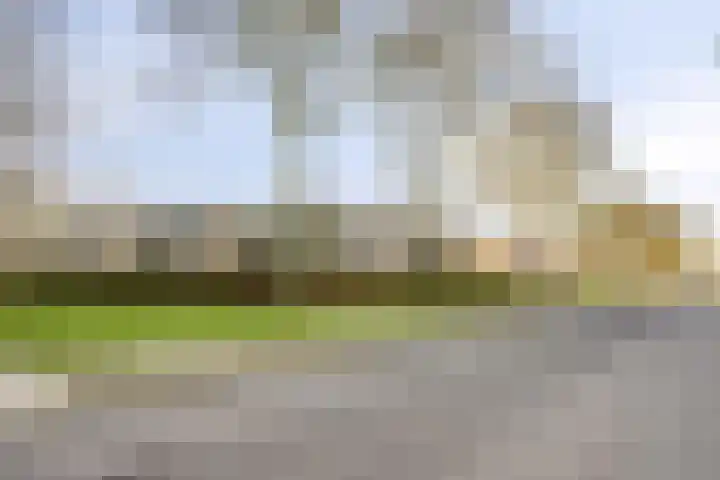 Zomergemstraat 62 Breda thumbnail 36