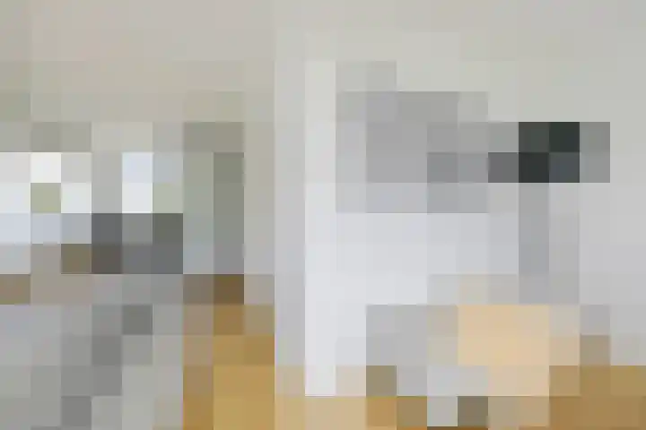 Zomerkade 54 Huizen thumbnail 12