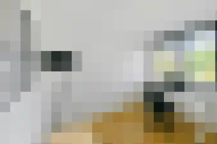 Zomerkade 54 Huizen thumbnail 13