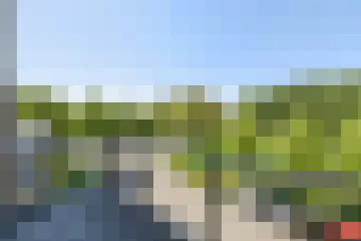 Zomerkade 54 Huizen thumbnail 15