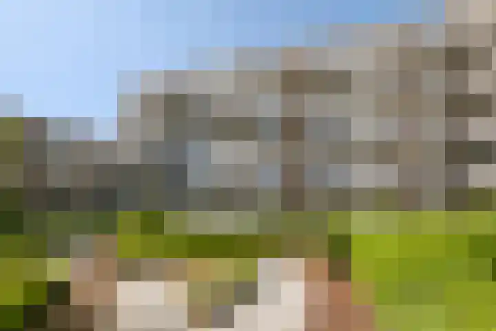 Zomerkade 54 Huizen thumbnail 23