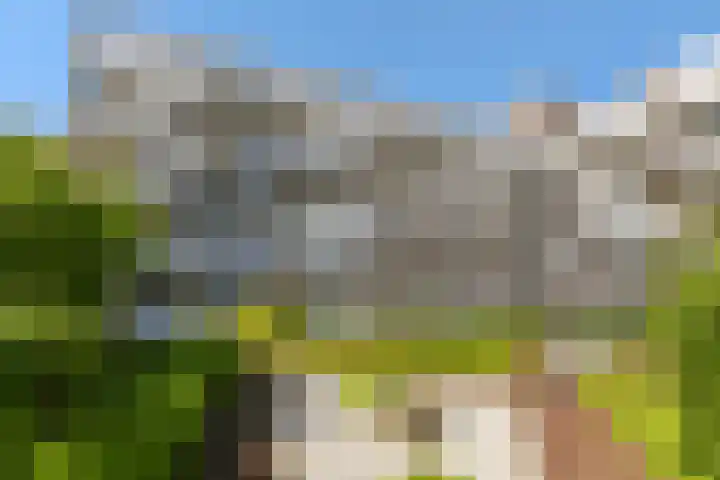 Zomerkade 54 Huizen thumbnail 24