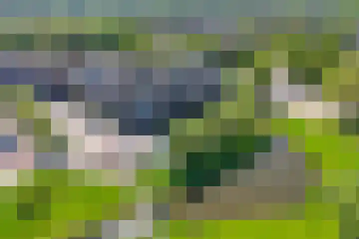 Zomerkade 54 Huizen thumbnail 32