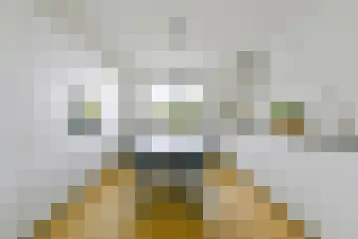 Zomerkade 54 Huizen thumbnail 9