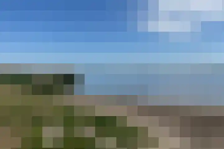 Zomerkade 76 Huizen thumbnail 14