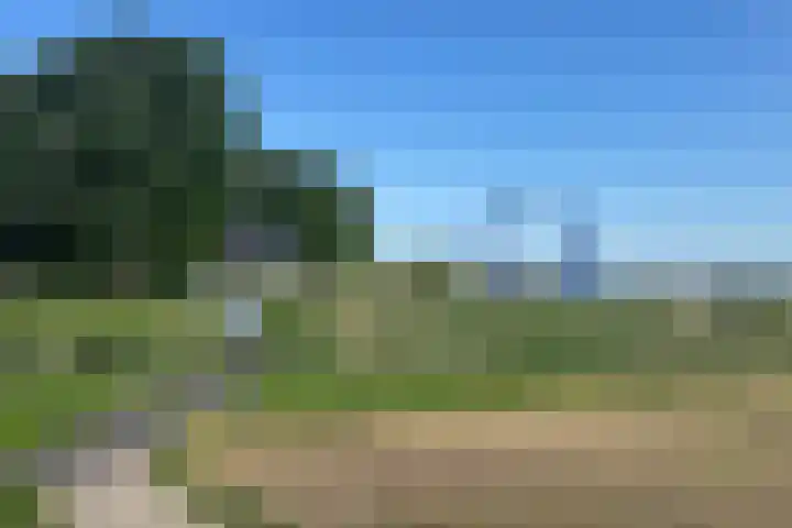 Zomerkade 76 Huizen thumbnail 16