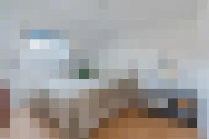 Zomerland 67 Geldrop thumbnail 21