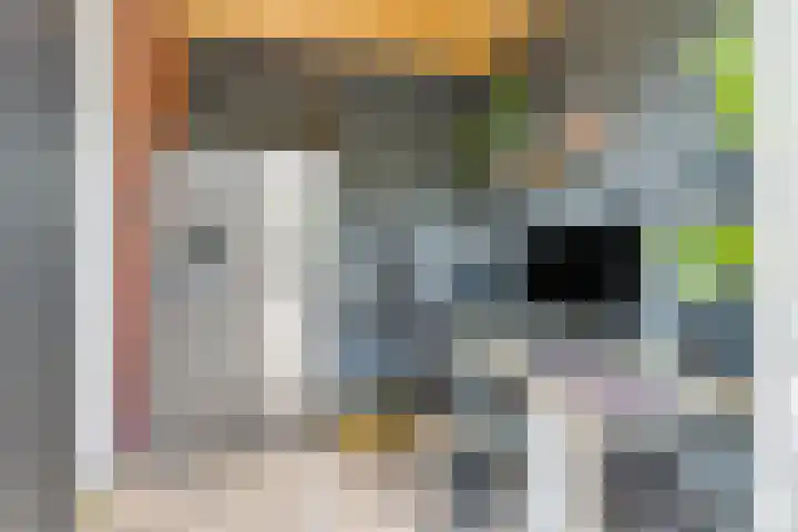 Zomerlinde 12 Heiloo thumbnail 13