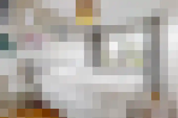 Zomerlinde 12 Heiloo thumbnail 17