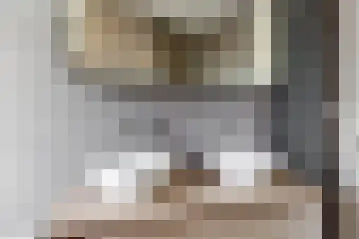 Zomerlinde 12 Heiloo thumbnail 24