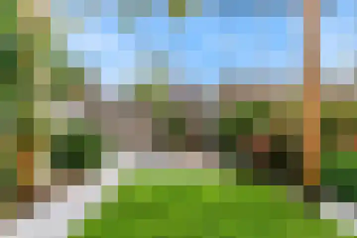 Zomerlinde 12 Heiloo thumbnail 30