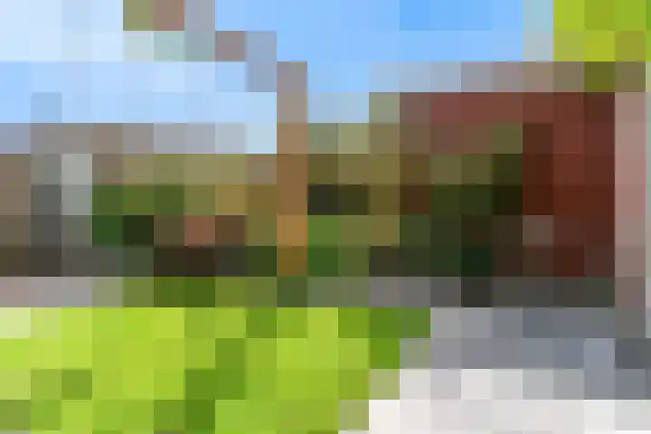 Zomerlinde 12 Heiloo thumbnail 31