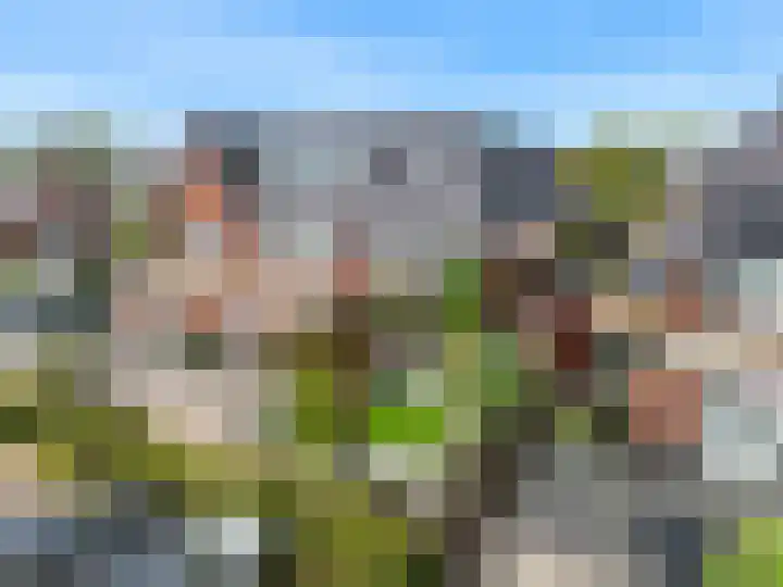 Zomerlinde 12 Heiloo thumbnail 35