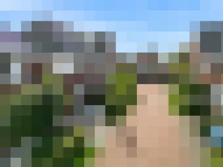 Zomerlinde 12 Heiloo thumbnail 40
