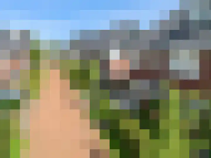 Zomerlinde 12 Heiloo thumbnail 42