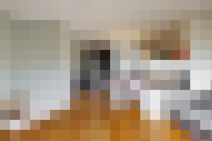 Zomerlinde 12 Heiloo thumbnail 9