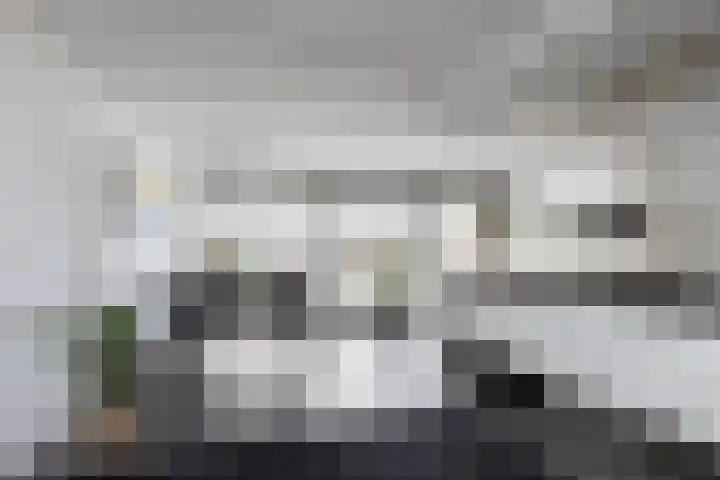 Zomermeter 18 Sneek thumbnail 11