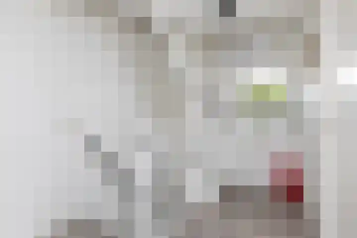 Zomermeter 18 Sneek thumbnail 30