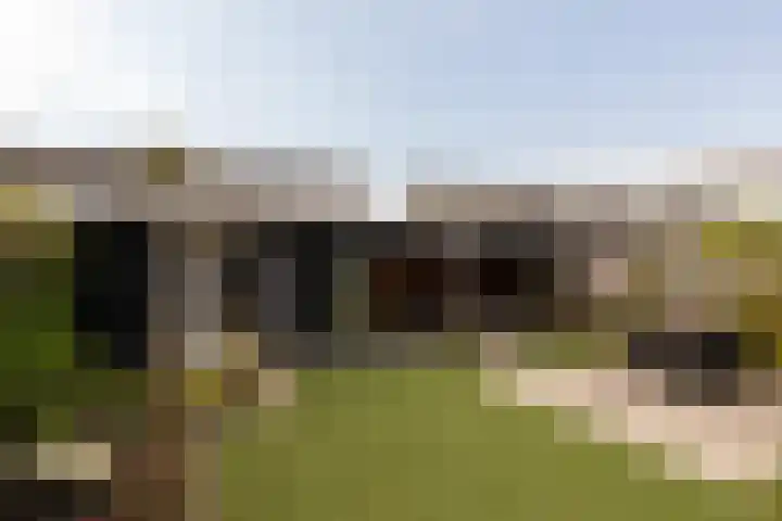 Zomermeter 18 Sneek thumbnail 36