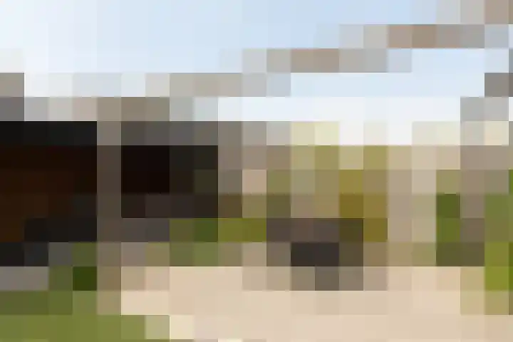 Zomermeter 18 Sneek thumbnail 37