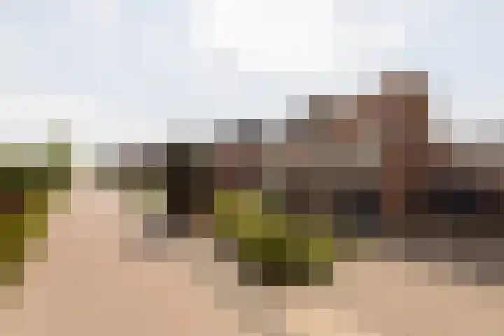 Zomermeter 18 Sneek thumbnail 48