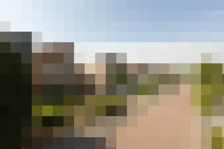 Zomermeter 18 Sneek thumbnail 50