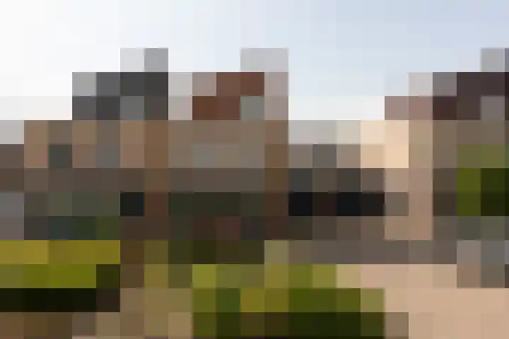 Zomermeter 18 Sneek thumbnail 51
