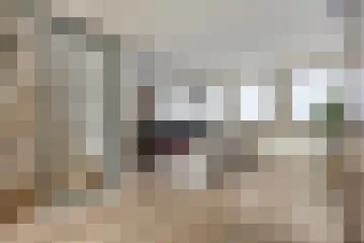 Zomerstraat 8 Hulst thumbnail 12