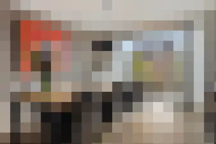 Zomerstraat 8 Hulst thumbnail 15