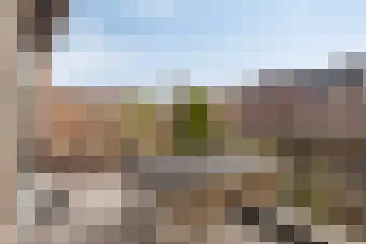 Zomerstraat 8 Hulst thumbnail 16