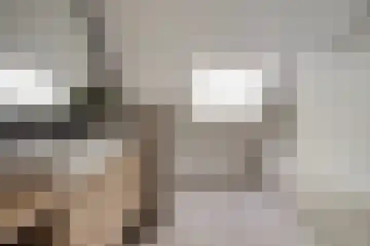 Zomerstraat 8 Hulst thumbnail 31