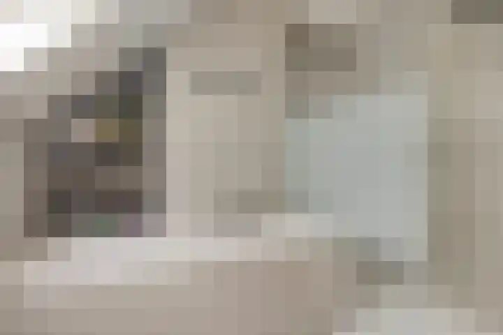 Zomerstraat 8 Hulst thumbnail 32