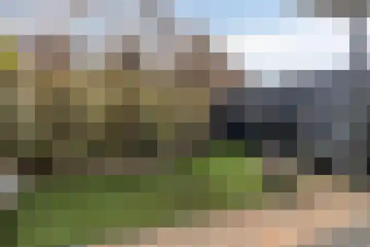 Zomerstraat 8 Hulst thumbnail 43