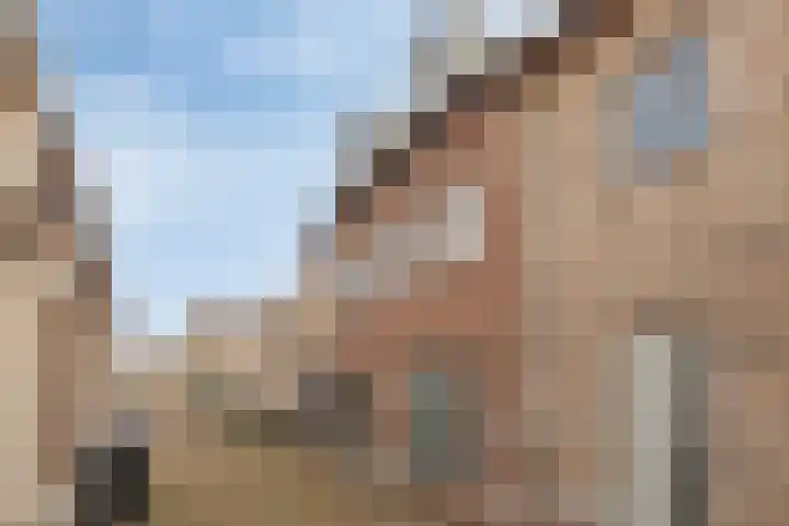 Zomerstraat 8 Hulst thumbnail 7