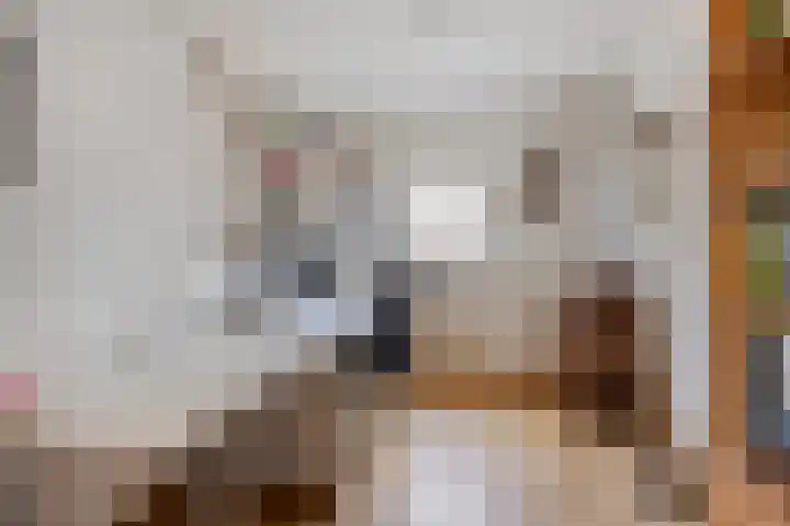 Zomerstraat 8 Lith thumbnail 14