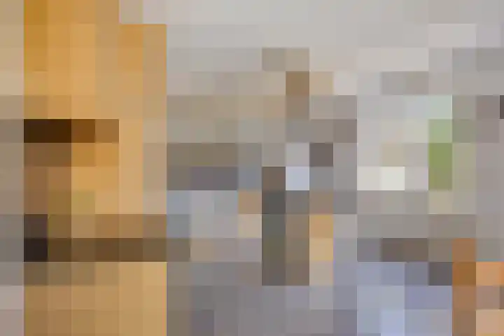 Zomerstraat 8 Lith thumbnail 16