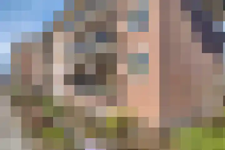 Zomerstraat 8 Lith thumbnail 22