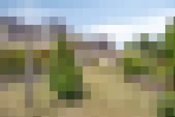 Zomerstraat 8 Lith thumbnail 22