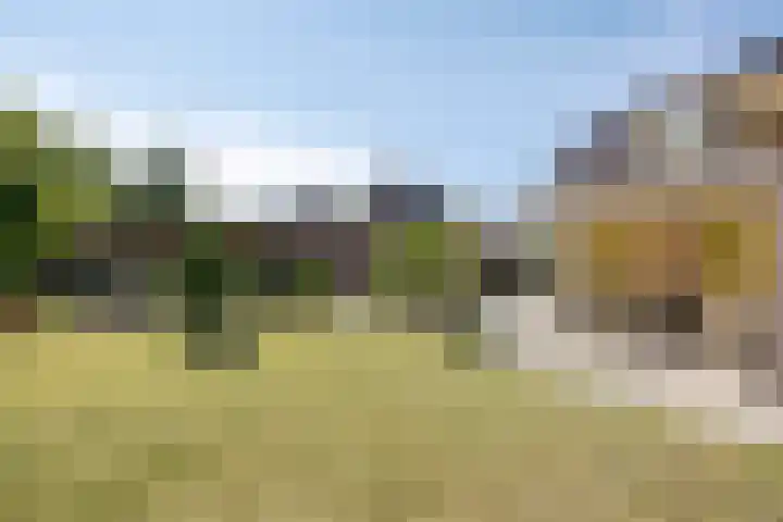 Zomerstraat 8 Lith thumbnail 24