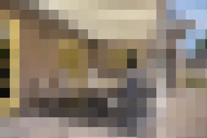 Zomerstraat 8 Lith thumbnail 27