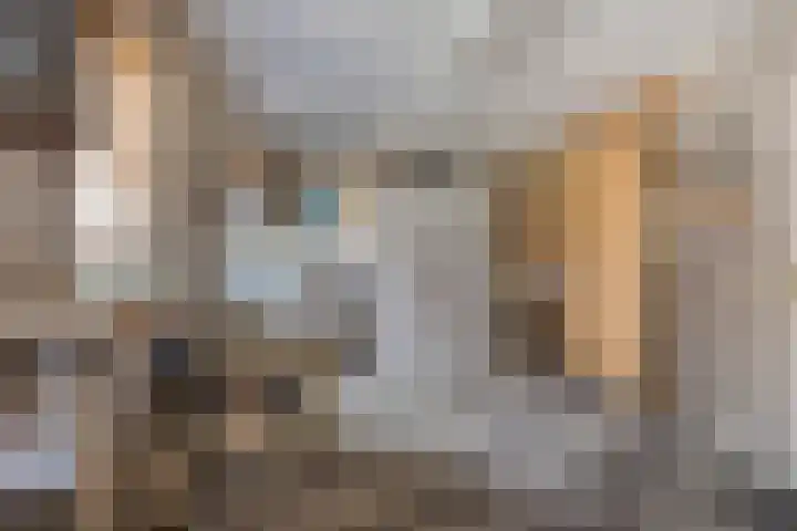 Zomerstraat 8 Lith thumbnail 29