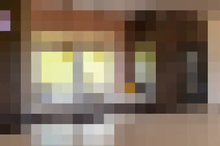 Zomerstraat 8 Lith thumbnail 34