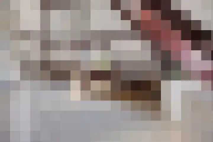 Zomerstraat 8 Lith thumbnail 35