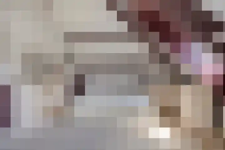 Zomerstraat 8 Lith thumbnail 36