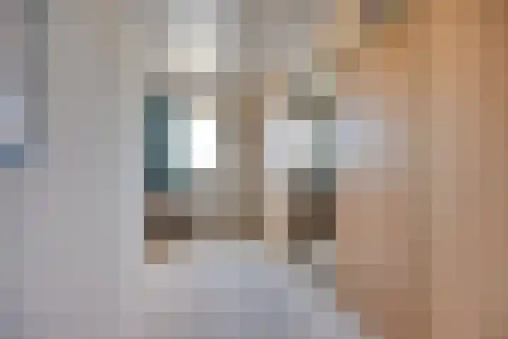 Zomerstraat 8 Lith thumbnail 43