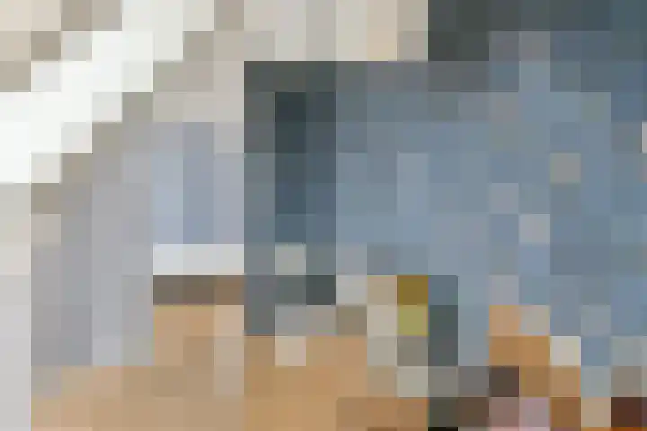 Zomerstraat 8 Lith thumbnail 48