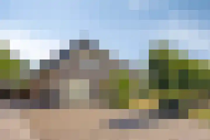 Zomerstraat 8 Lith thumbnail 48