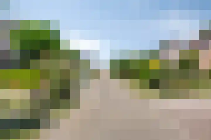 Zomerstraat 8 Lith thumbnail 49